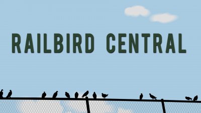 Railbird Central Podcast: Baby Steps from Individual to Team